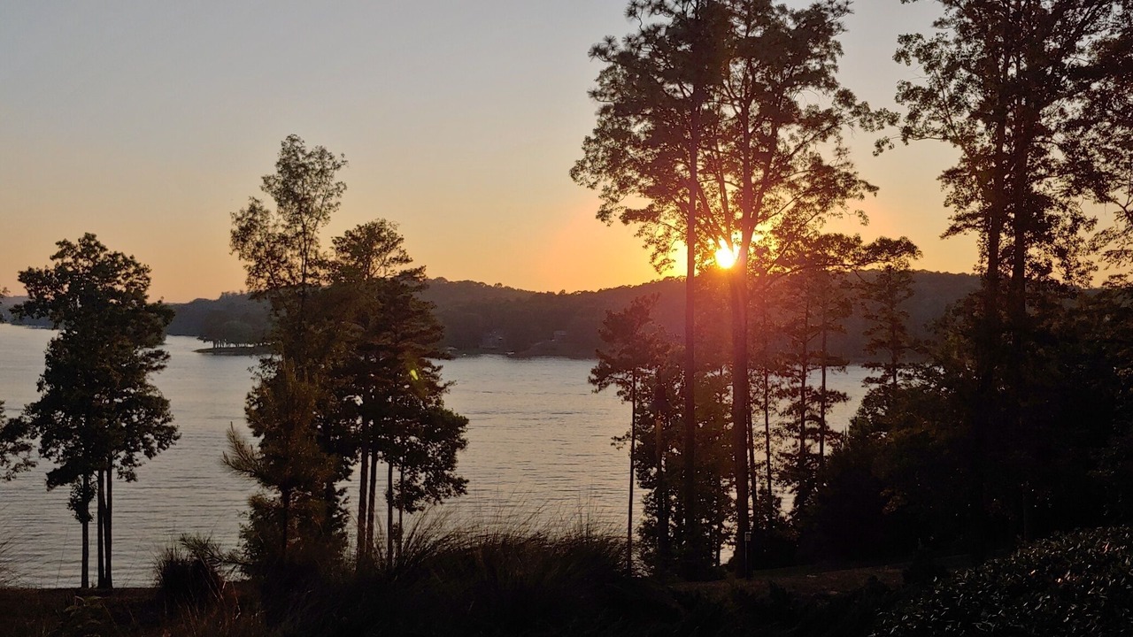 Photo of Others in Talladega