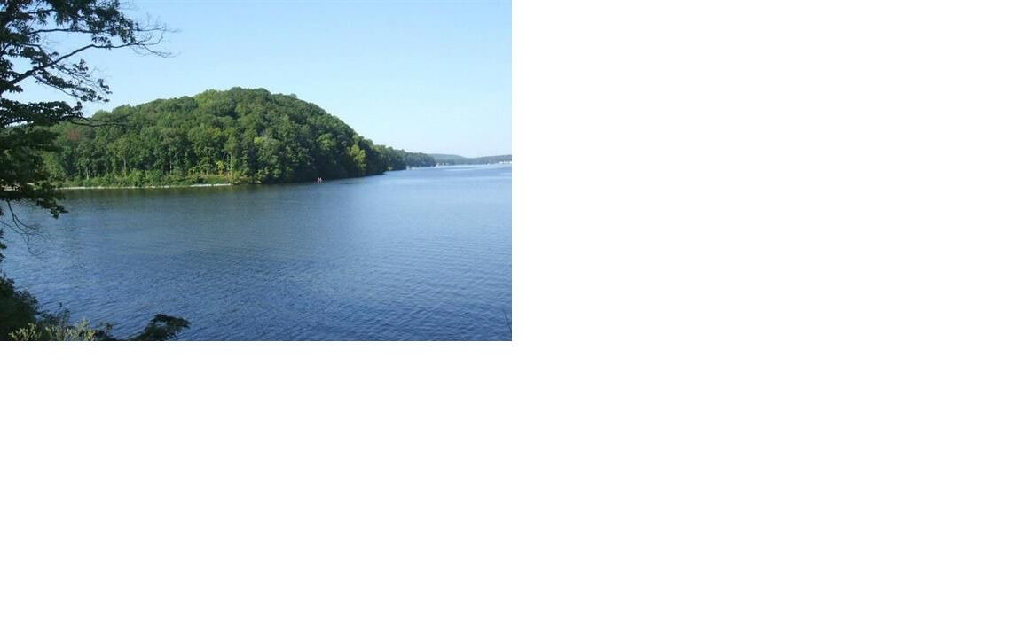 Photo of Others in Talladega