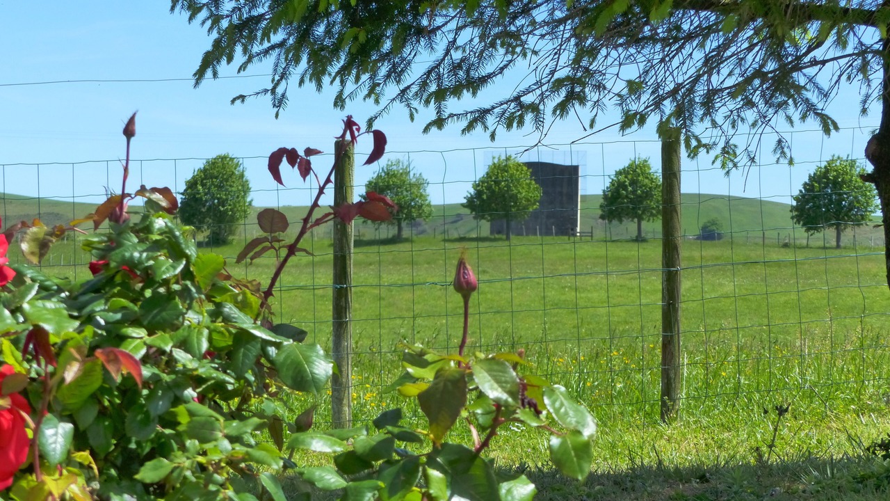 Photo of Outdoor in Osses