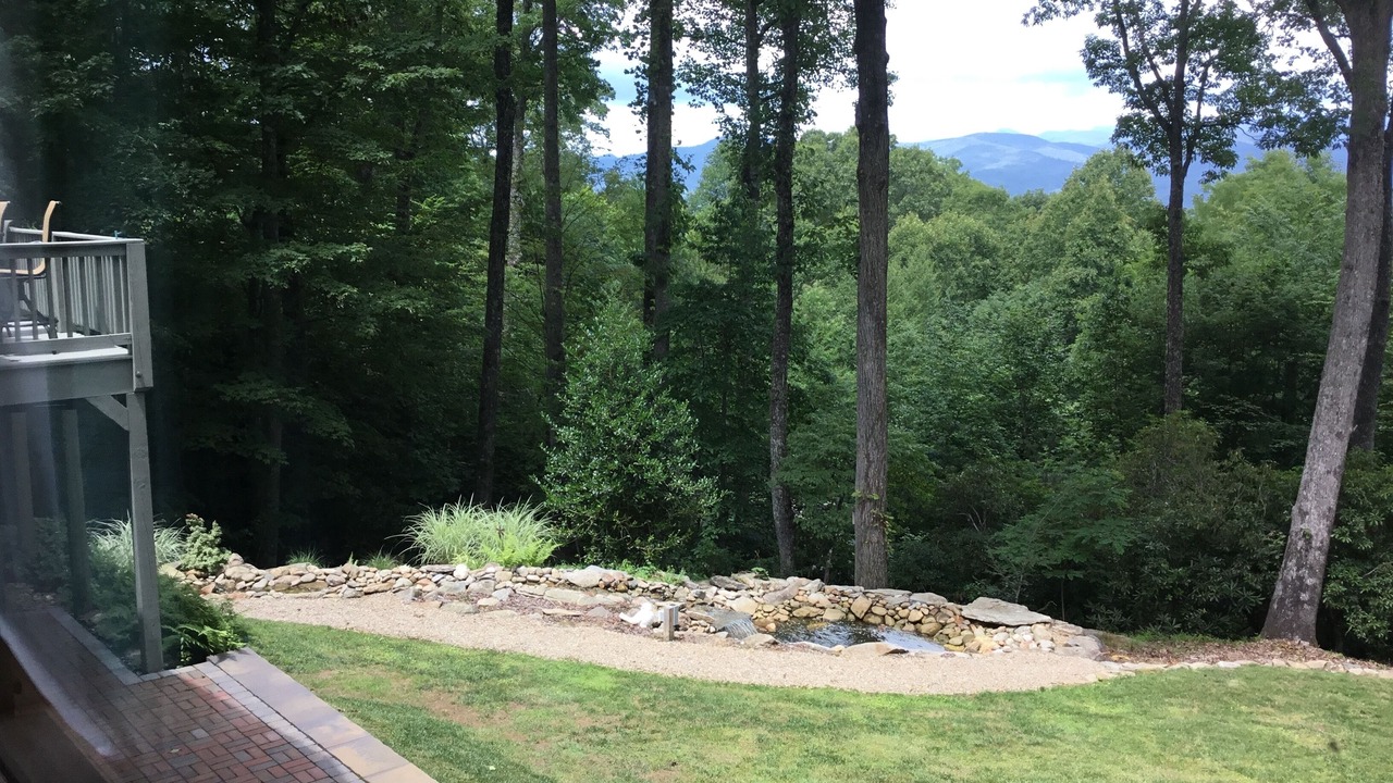 Photo of Others in Pisgah Forest