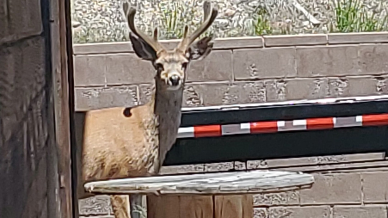 Photo of Outdoor in Emigrant