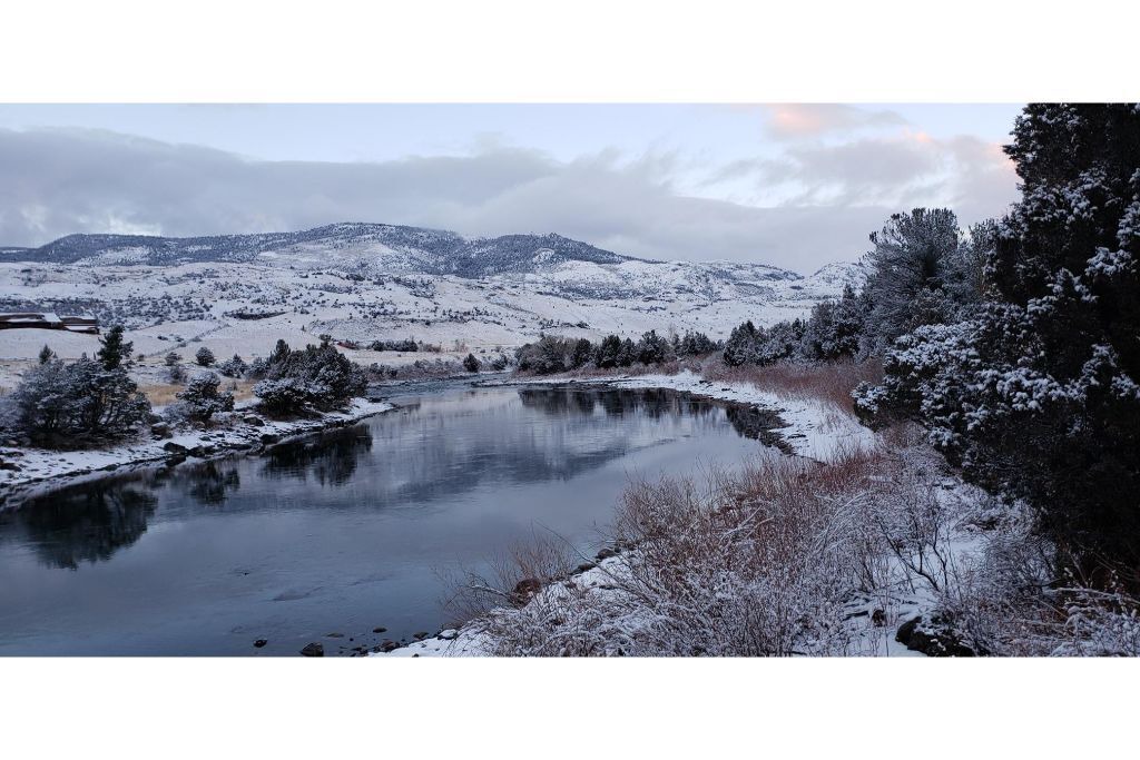 Photo of Others in Emigrant