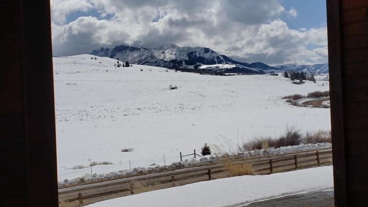 Photo of Others in Emigrant