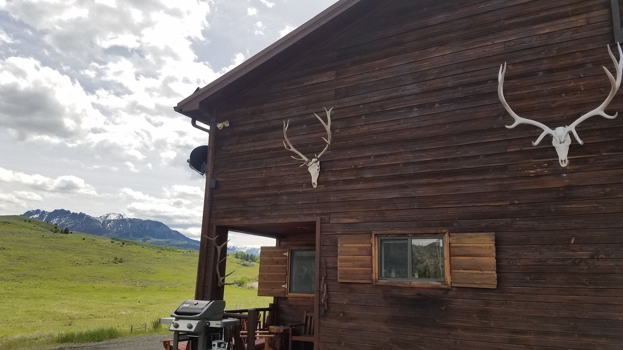 Photo of Others in Emigrant