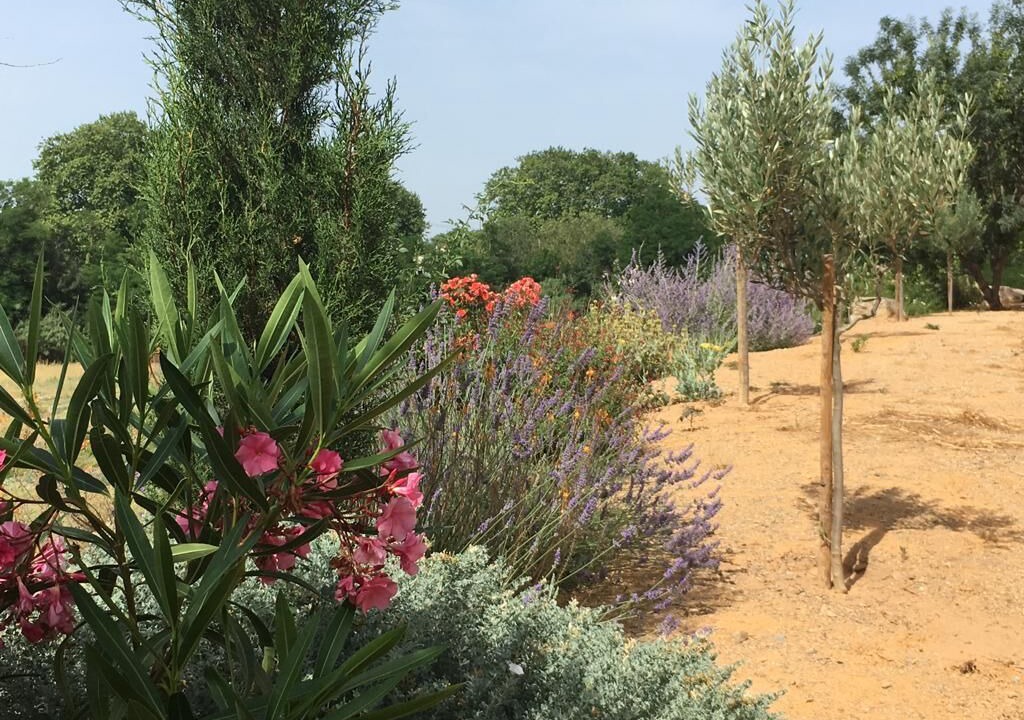 Photo of Outdoor in Salleles-d'Aude