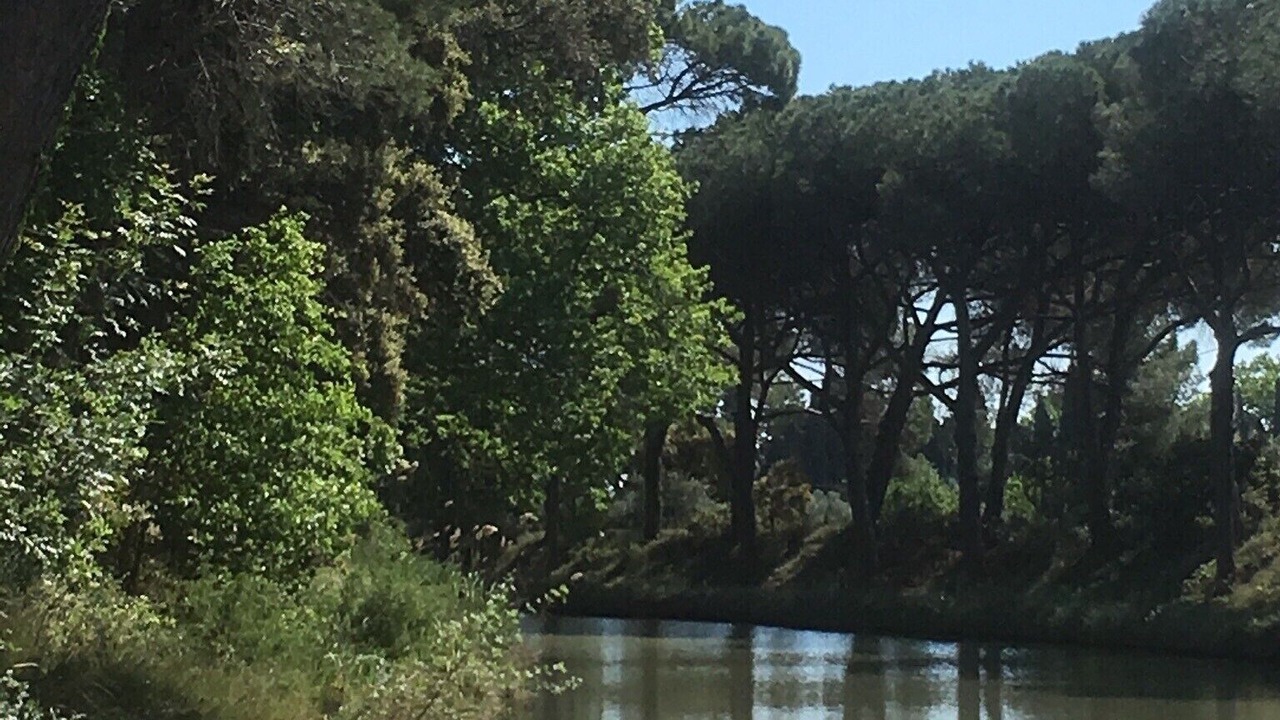 Photo of Outdoor in Salleles-d'Aude