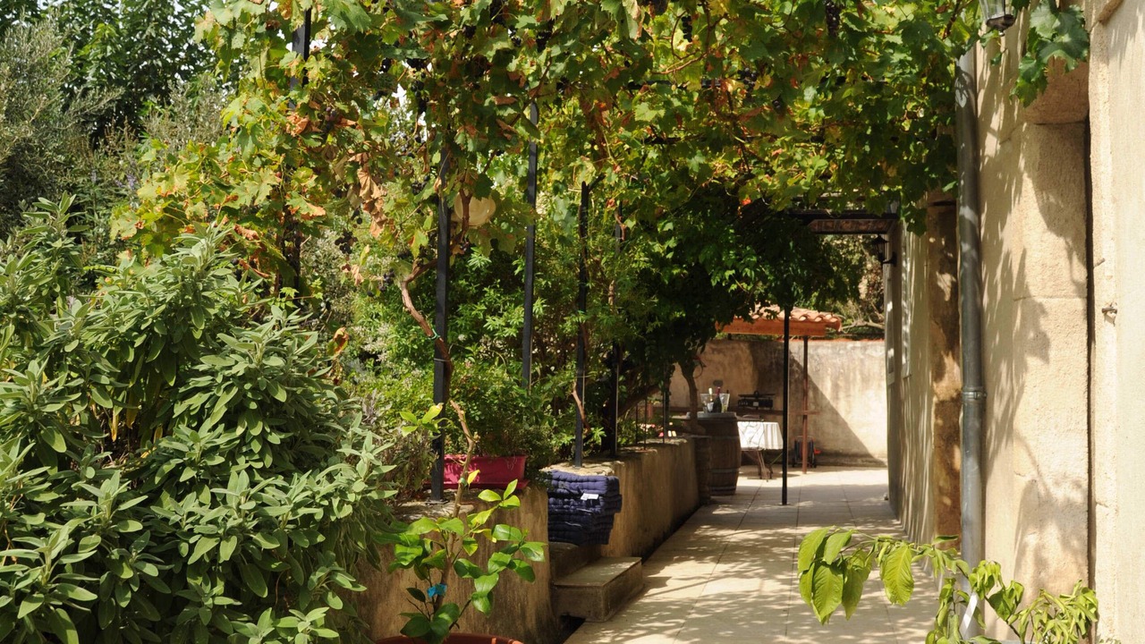 Photo of Outdoor in Limoux
