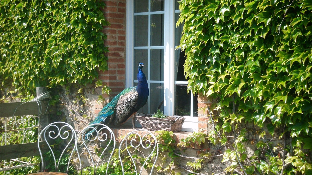 Photo of Patio Balcony in Cholet