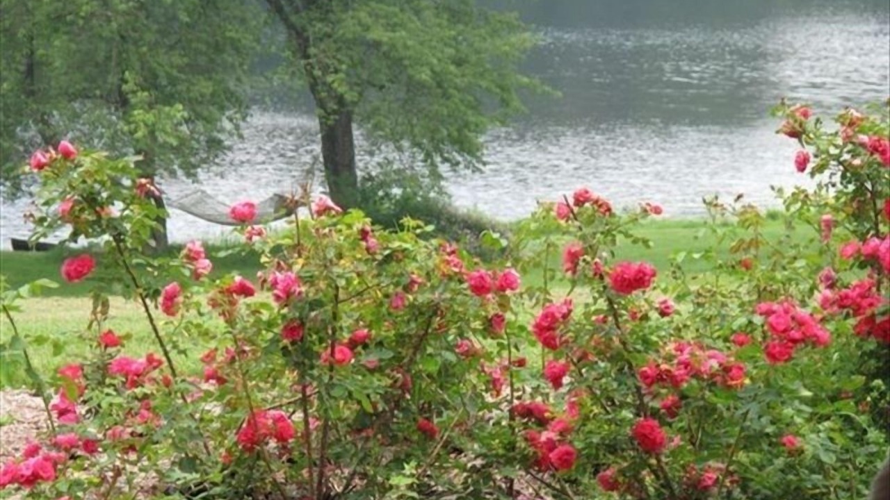 Photo of Outdoor in Delhi