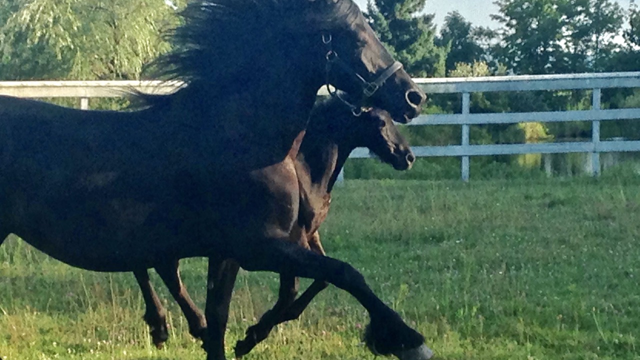 Photo of Outdoor in Delhi