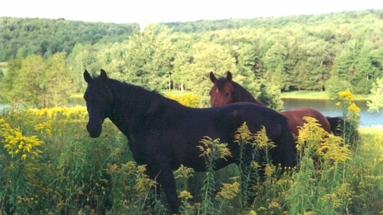 Photo of Outdoor in Delhi