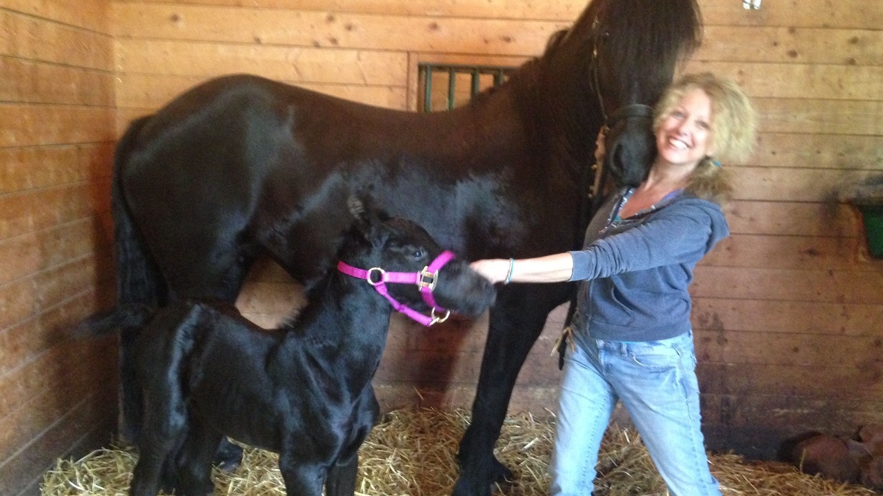 Photo of Others in Delhi