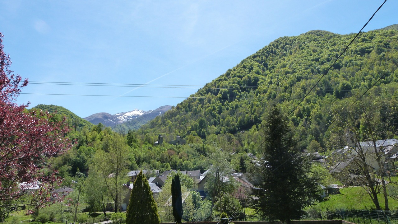 Photo of Others in Ustou