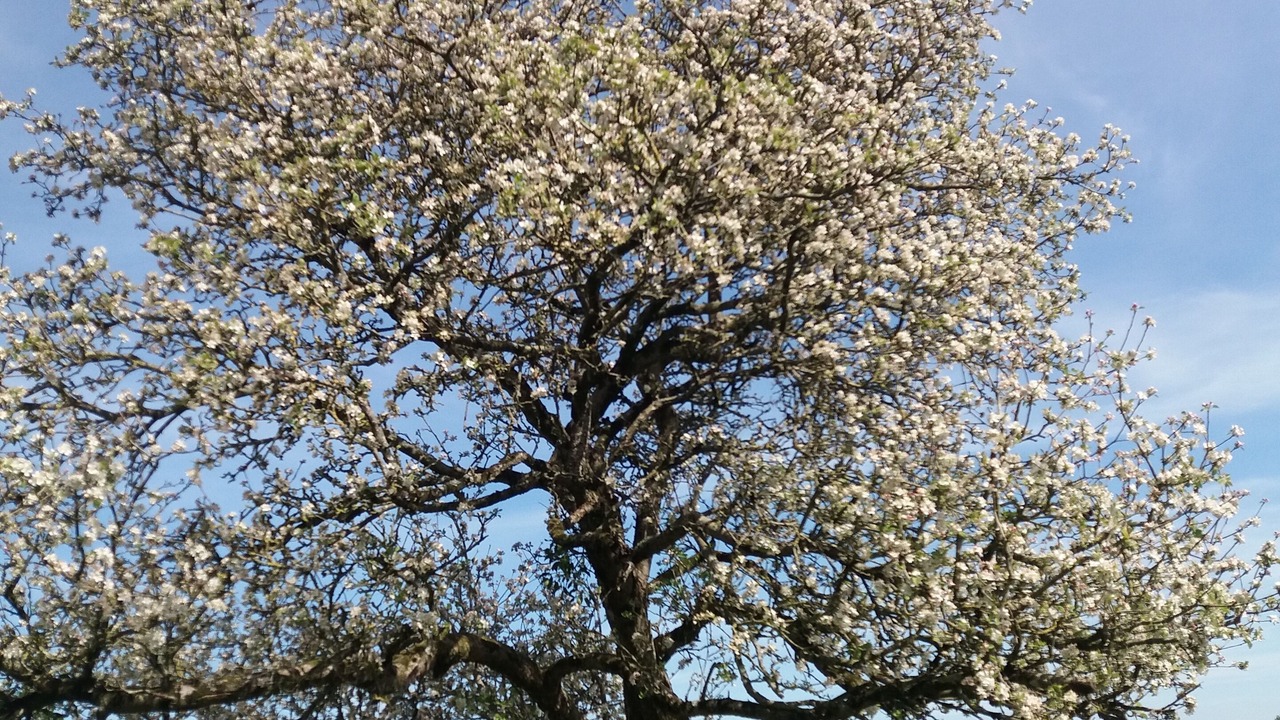 Photo of Outdoor in Henneveux