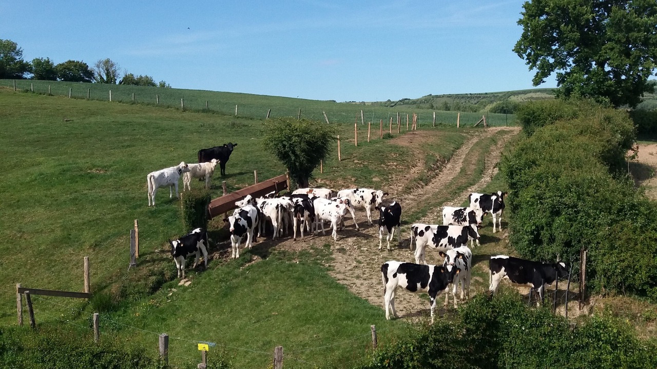 Photo of Outdoor in Henneveux