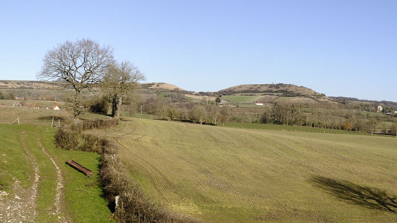Photo of Others in Henneveux
