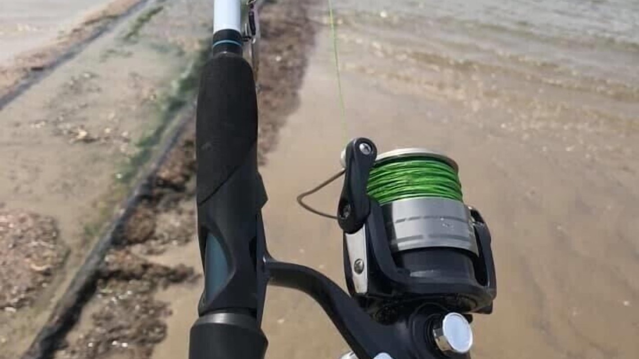 Photo of Others in Le Portel