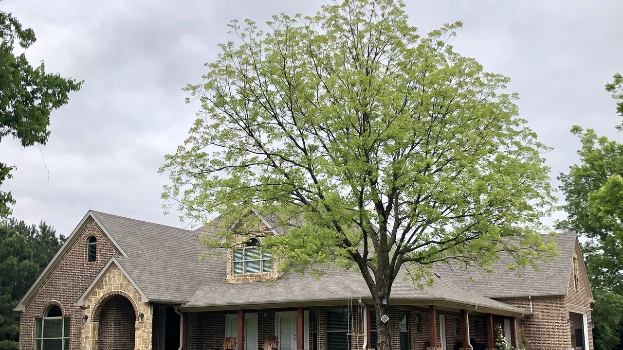 Photo of Outdoor in Albany