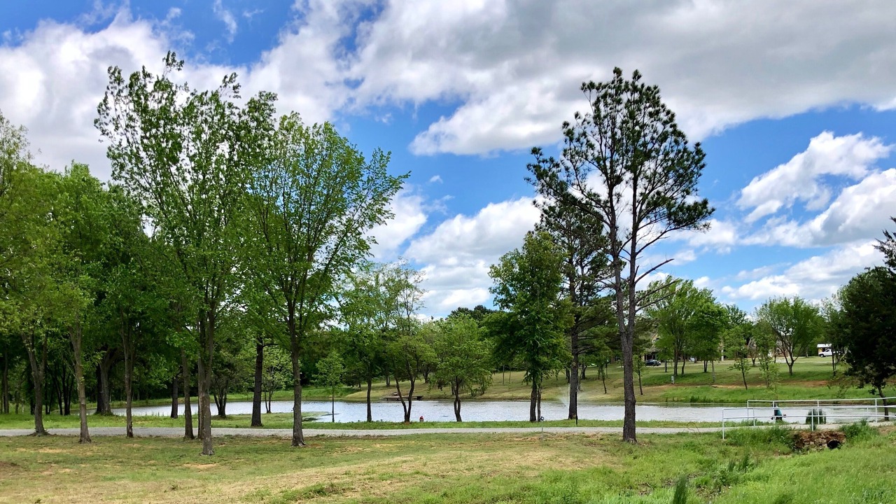 Photo of Outdoor in Albany