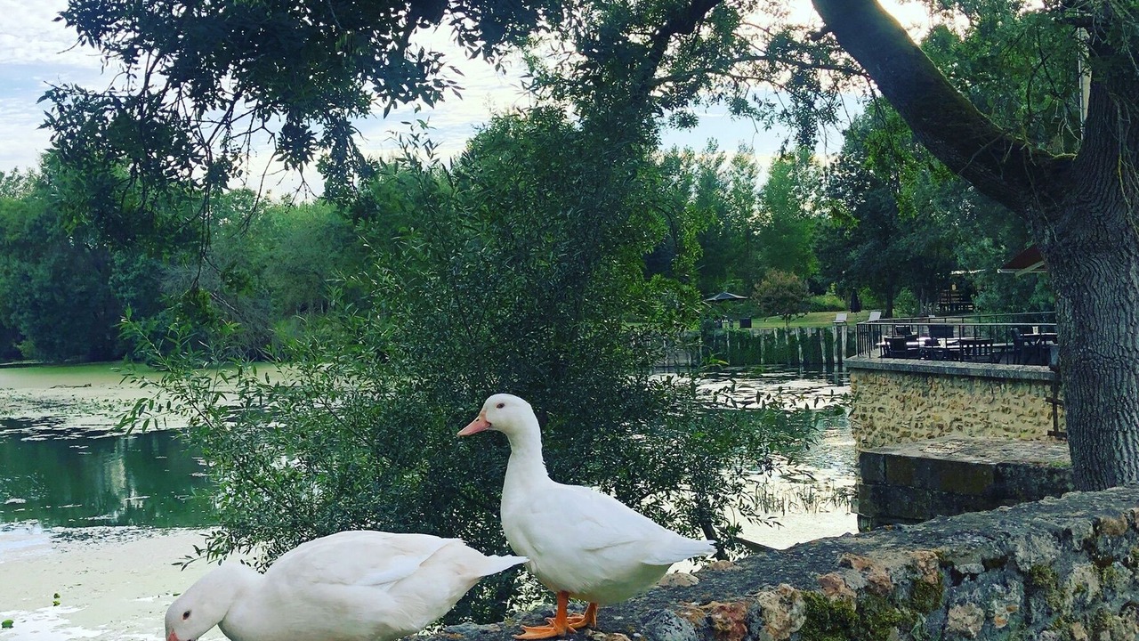 Photo of Outdoor in Sache