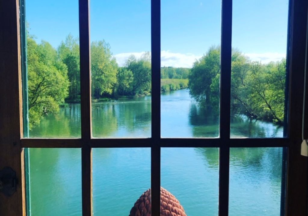 Photo of Others in Sache