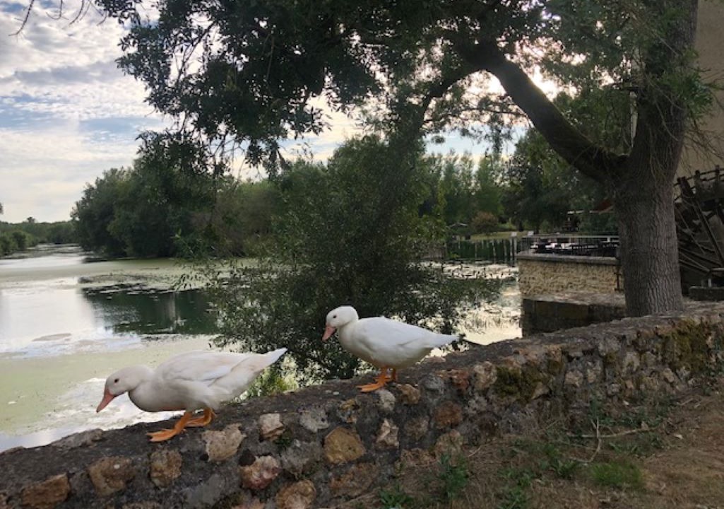 Photo of Outdoor in Sache