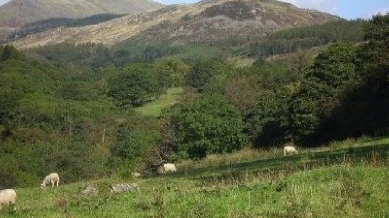 Photo of Others in Broughton Mills