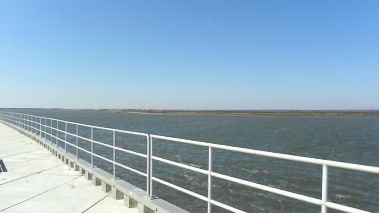 Photo of Others in Townsend's Inlet