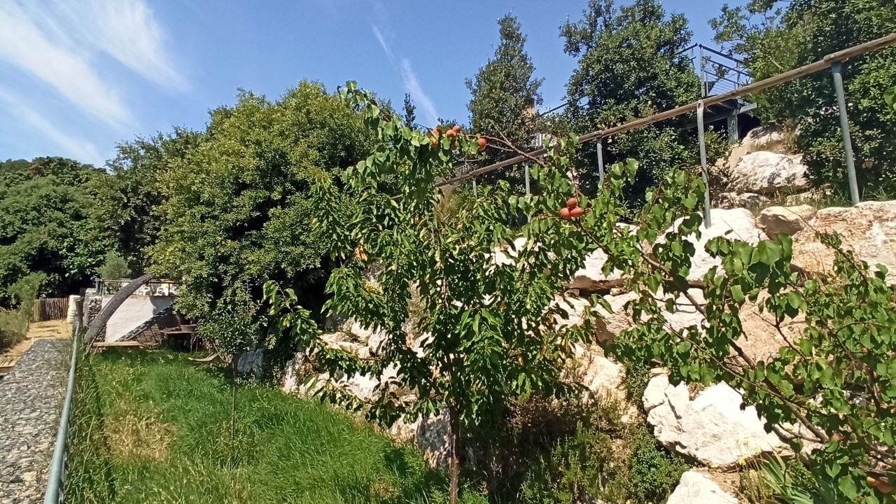 Photo of Outdoor in Saint-Jean-de-Cuculles