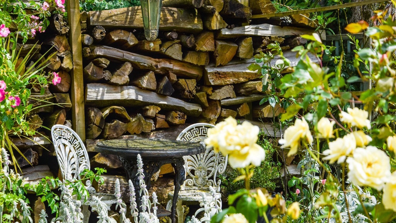 Photo of Others in La Foret-de-Tesse