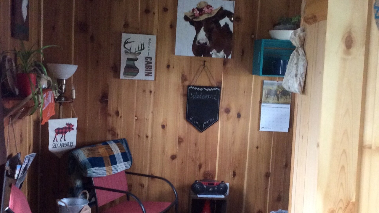 Photo of Others in Newcastle