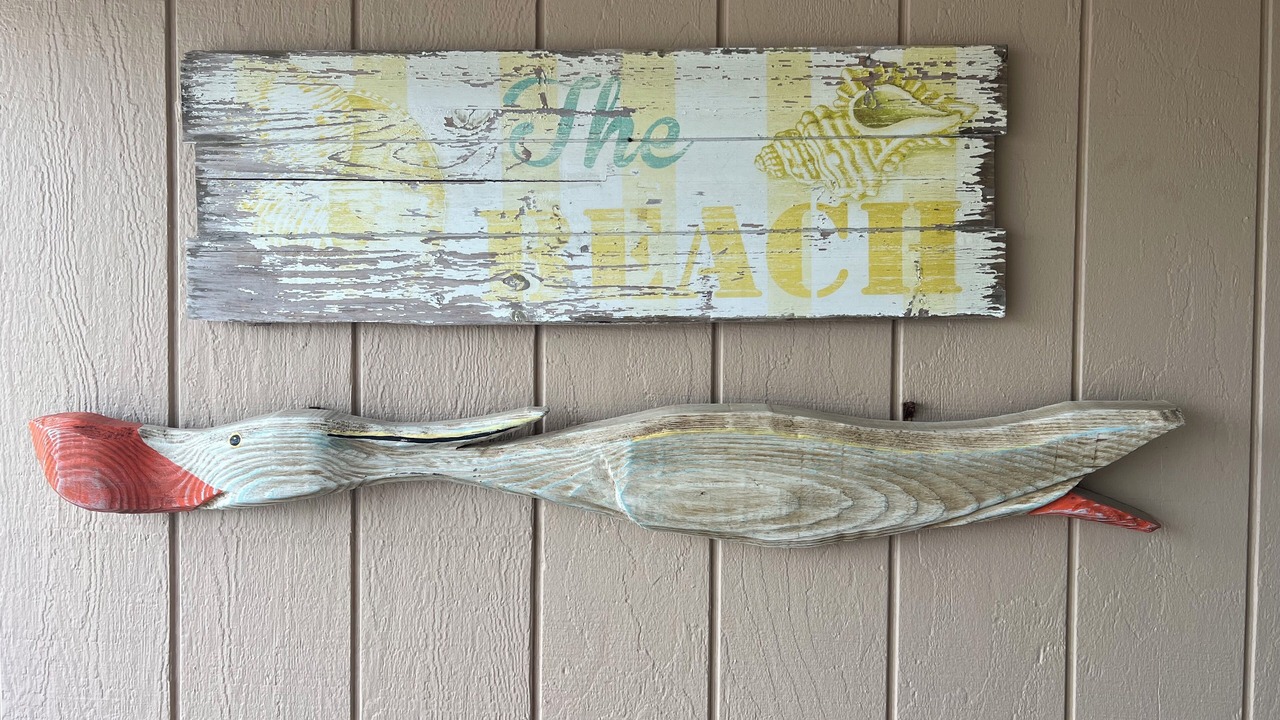 Photo of Others in North Carolina Coast