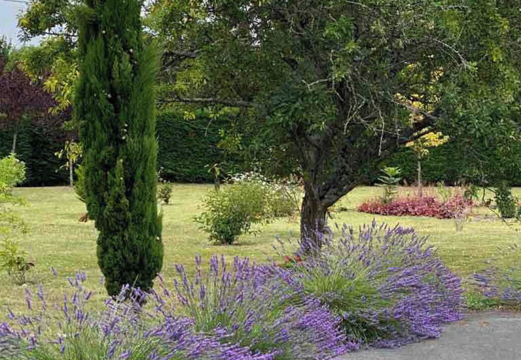 Photo of Outdoor in La Tour-Saint-Gelin