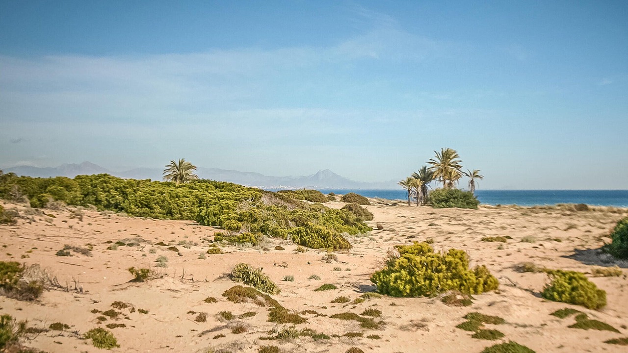 Photo of Others in Gran Alacant