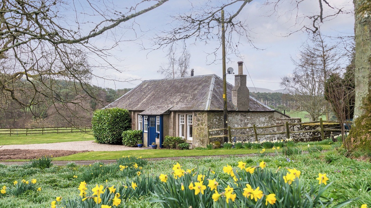 Photo of Others in Biggar