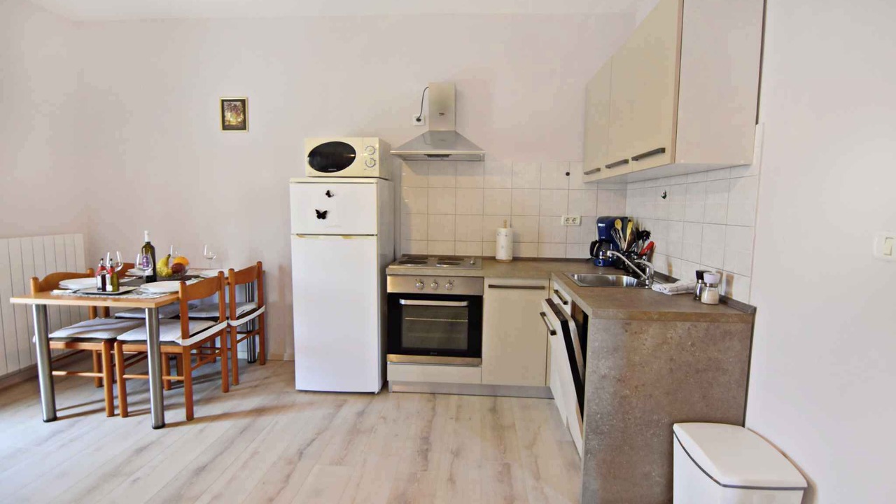 Photo of Kitchen in Savudrija
