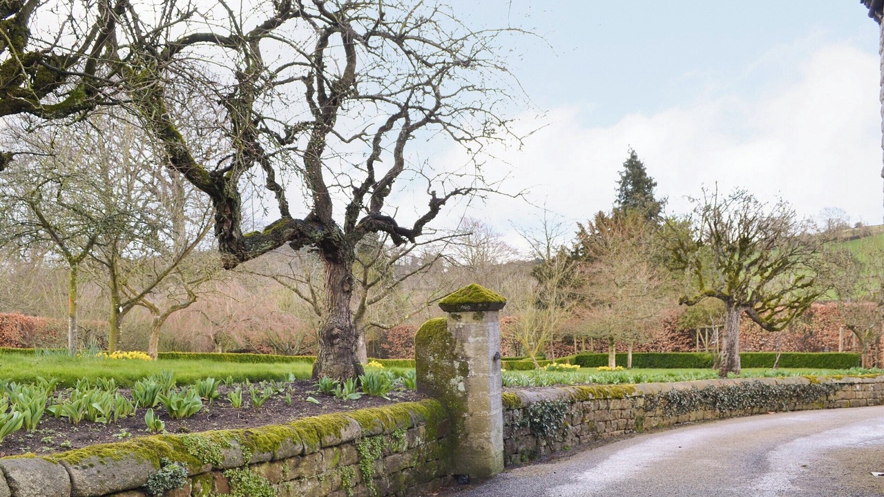 Photo of Outdoor in Ripley