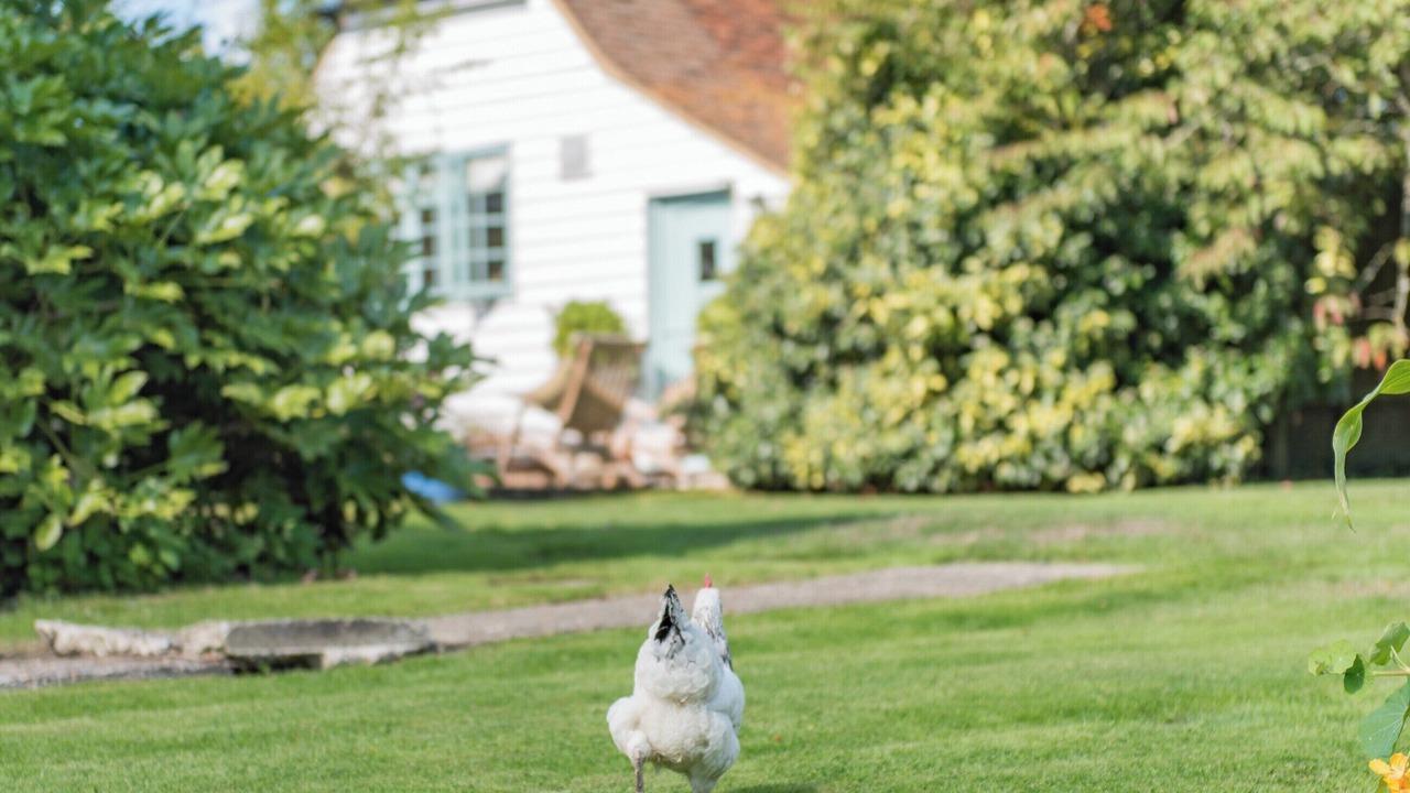 Photo of Outdoor in Cranbrook