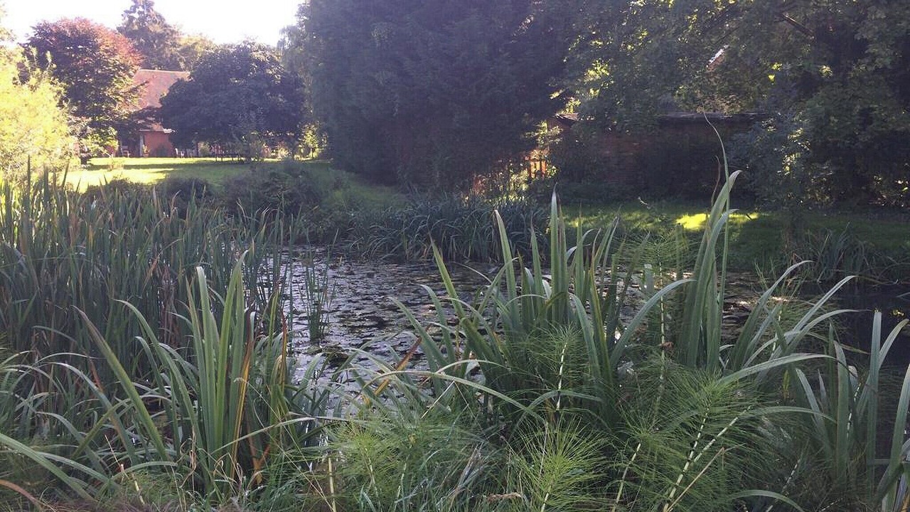 Photo of Outdoor in Bilting