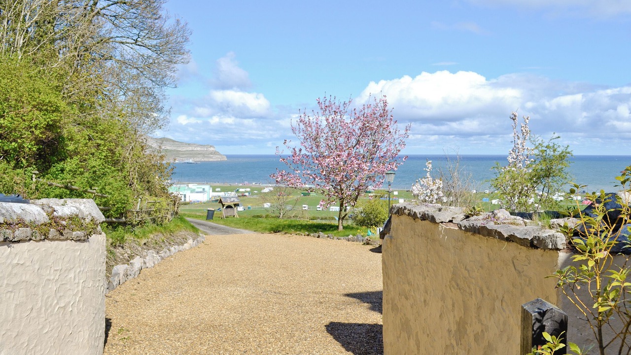 Photo of Others in Llandudno