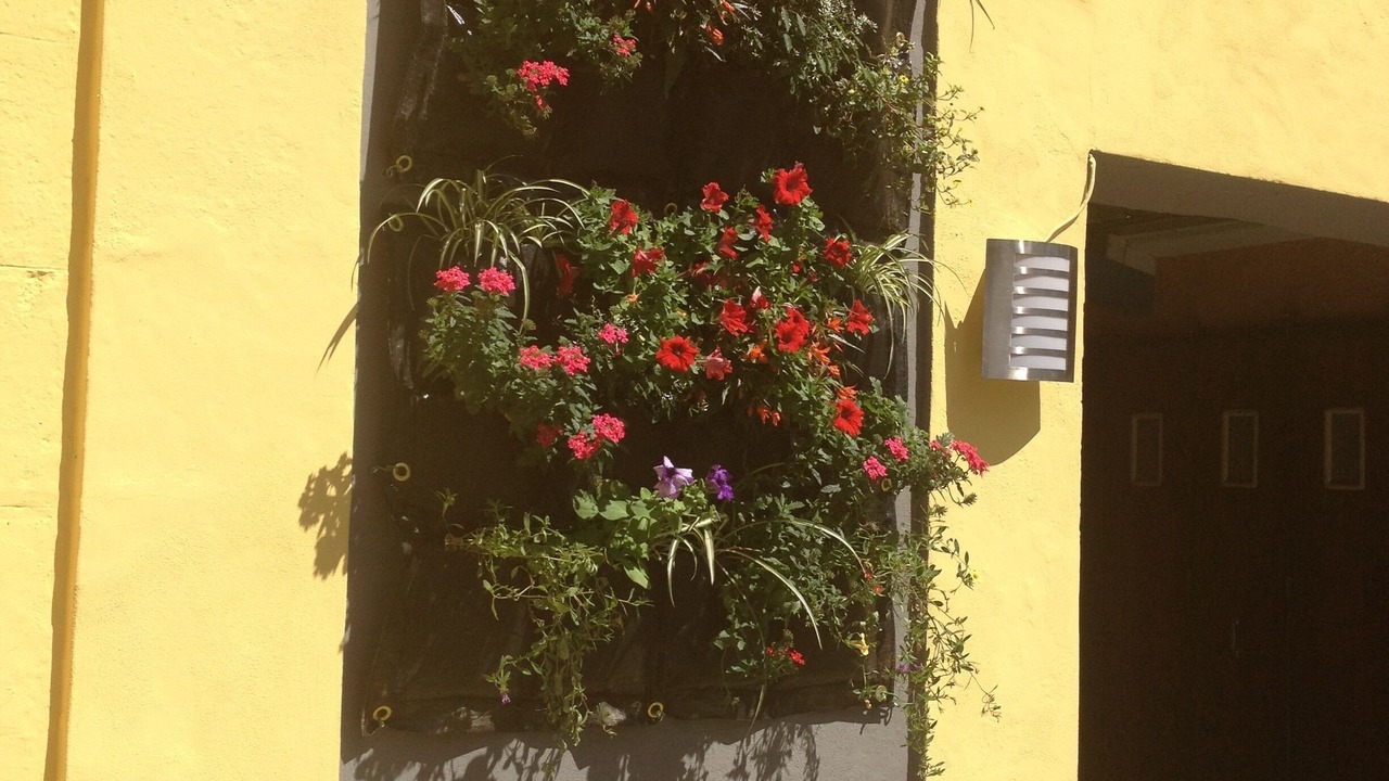 Photo of Outdoor in Lourdes