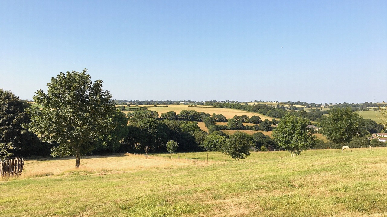 Photo of Others in Fivelanes