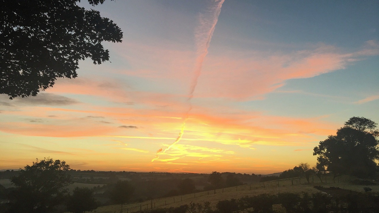 Photo of Others in Fivelanes