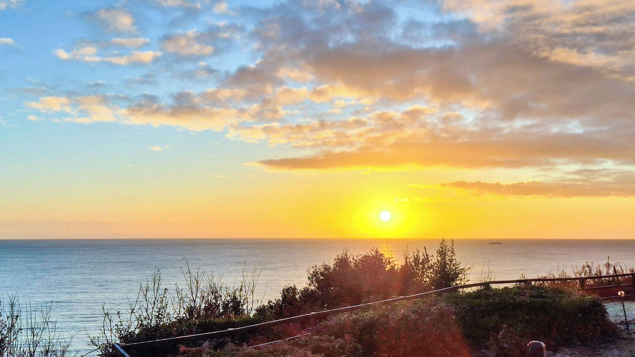 Photo of Others in Corton