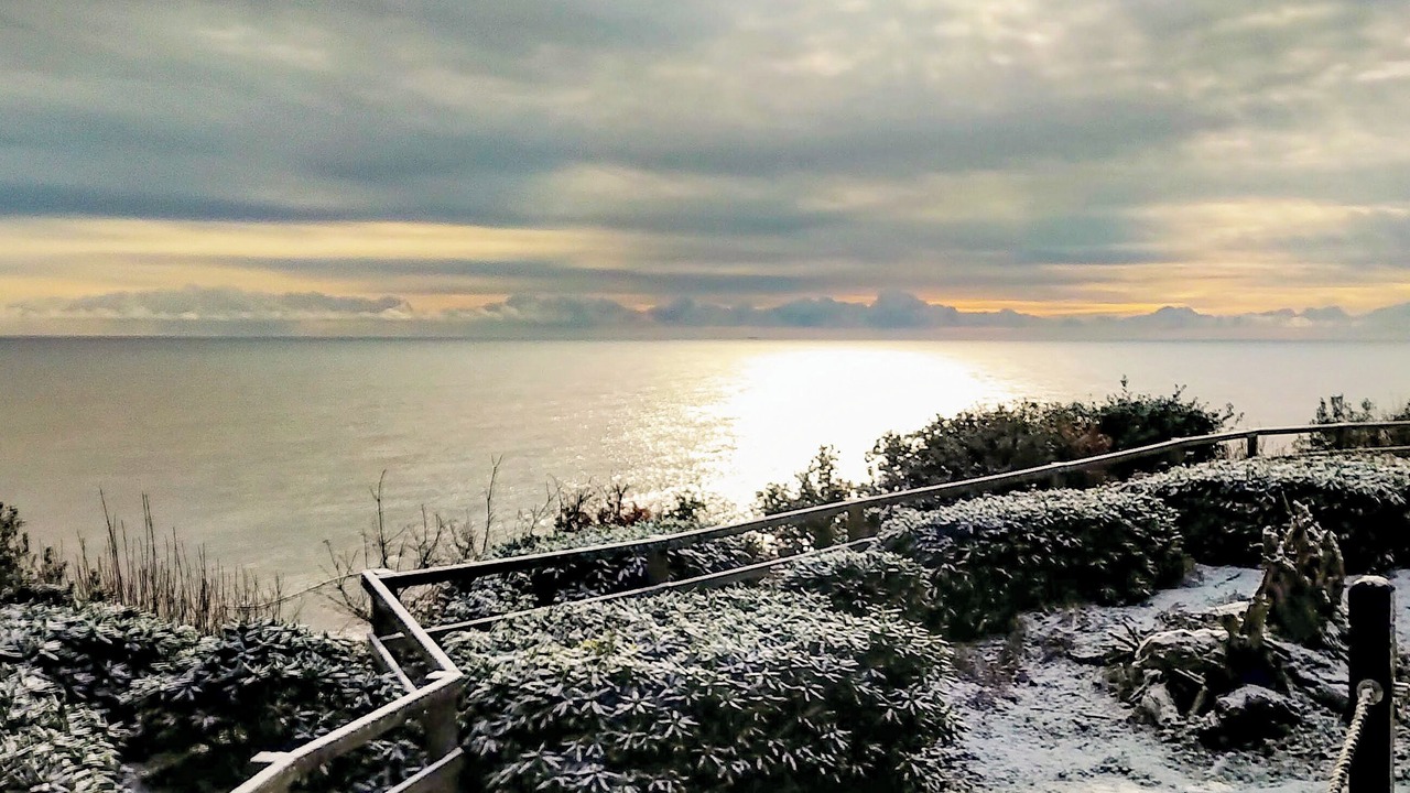 Photo of Others in Corton