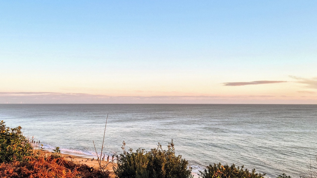 Photo of Others in Corton