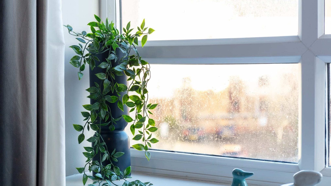 Photo of Others in Ayr