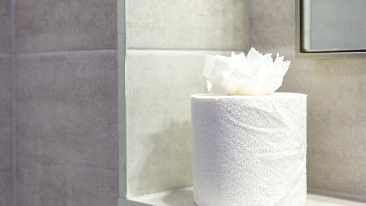 Photo of Others in Ayr