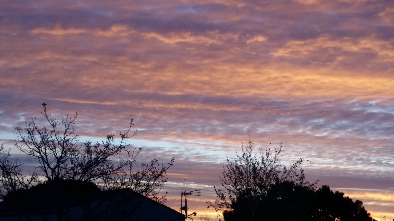 Photo of Others in Vaux-sur-Mer