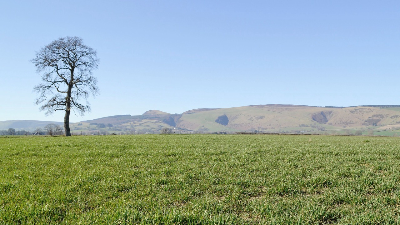 Photo of Others in Kington